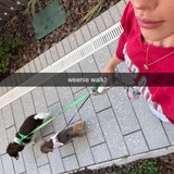 fionamaefit 2026 04 21T17 50 45