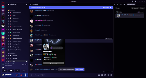 Discord XkXl6awmWS.png