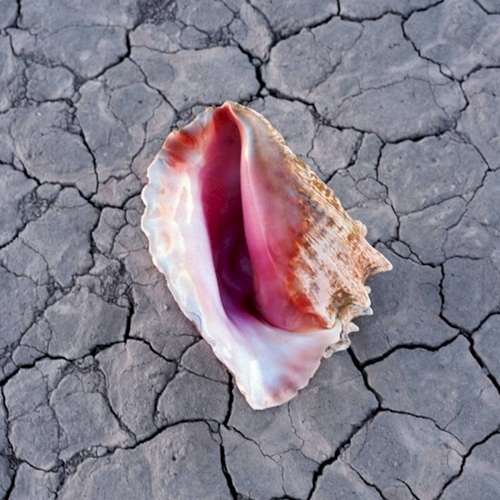18aaec27fa79.png