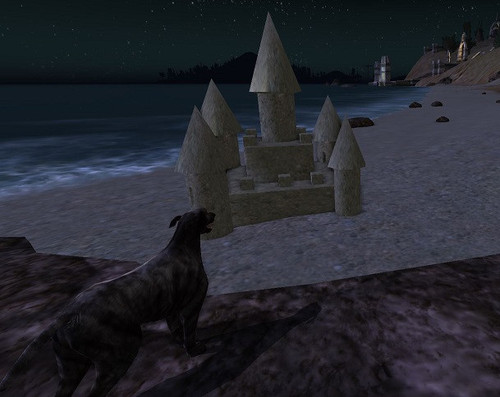 sandcastle and shell 50.jpg