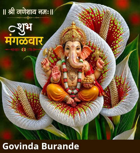 6849ea021ca8.jpg