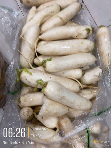 2aOboQqi0md4NA2rffHa6MKa1gwoHe5G0fUxPgSe.jpg