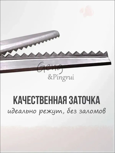 c25394c41f3c.jpg
