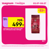 Magnum 1440x1440 1 tov (14)