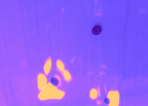 temp.png