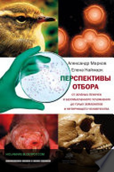 Обложка книги «Перспективы отбора» - Александр Марков, Елена Наймарк