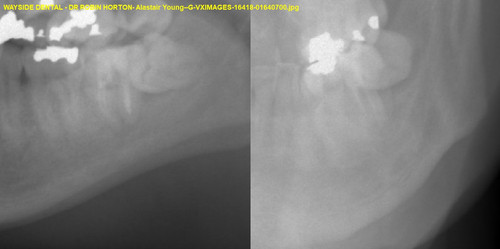 Alastair Young G VXIMAGES 16418 01640700.jpg
