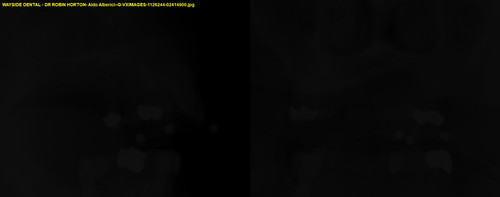 Aldo Alberici G VXIMAGES 1126244 02414900.jpg