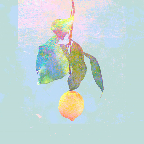 b7861891ebb2.png