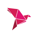 1656235199bkash logo transparent