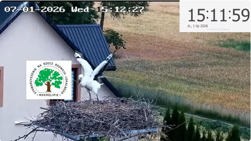 MWSnap877.jpg