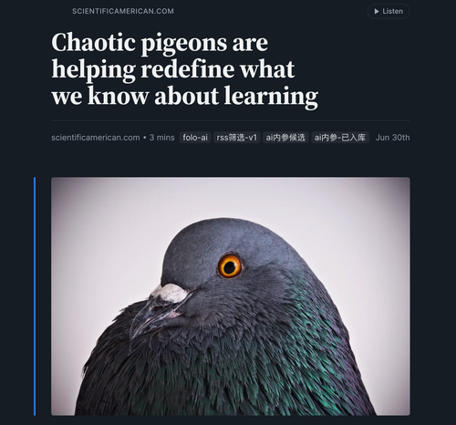 混乱学习策略正在挑战传统强化学习直觉.png