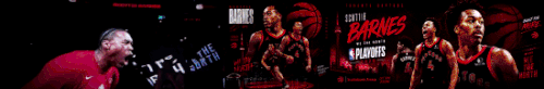 barnes sig playoffs.gif