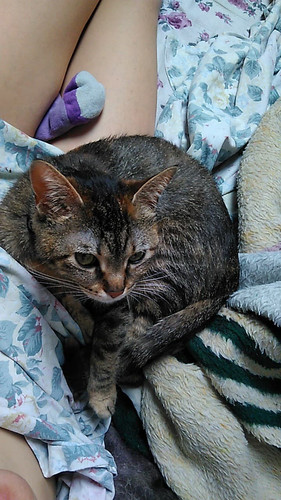 Valentina Chochanova nude with cat.jpg