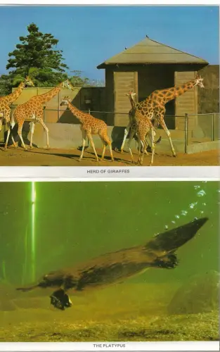 postcard2.webp