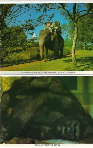 postcard3.webp