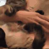Valentina Chochanova playing with nipple.gif