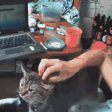 Valentina Chochanova nude with cat.gif