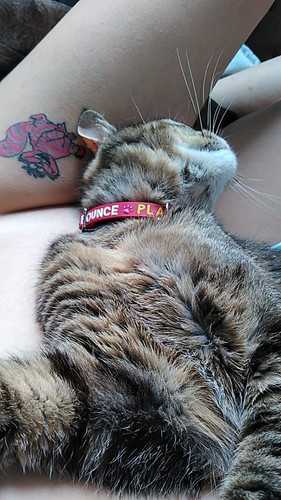 Valentina Chochanova nude with cat.jpg