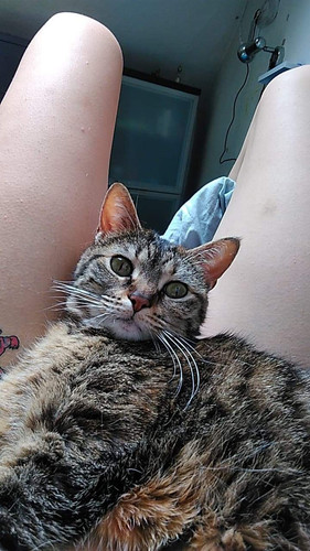Valentina Chochanova nude with cat.jpg
