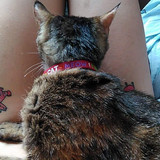 Valentina Chochanova nude with cat