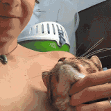 Valentina Chochanova nude with cat.gif