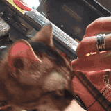 Valentina Chochanova nude with cat.gif