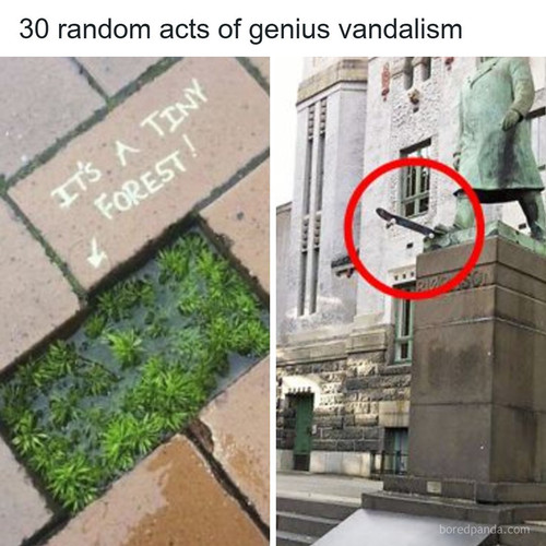 funny (3).jpg