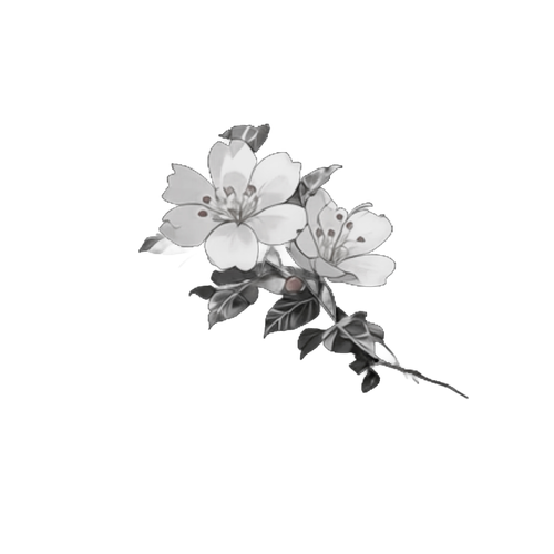 IMG 4975.png