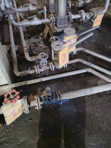 1baf1f317e37.jpg