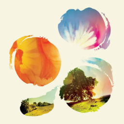 135b45a0048a.png