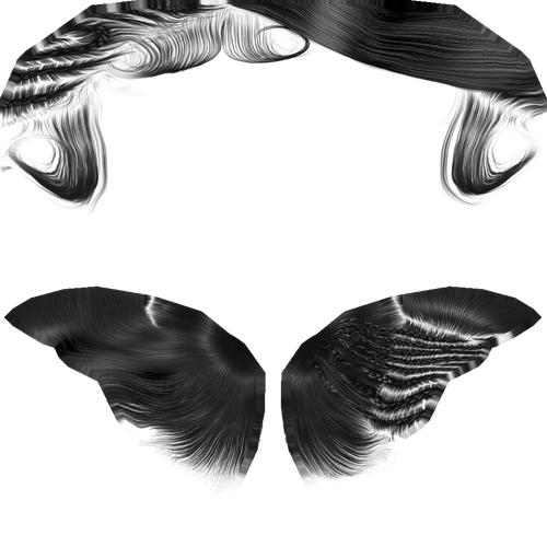 IMG 4891.png