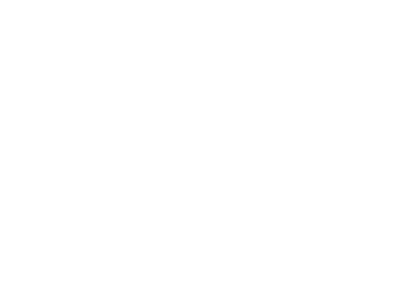 festival FICM.png