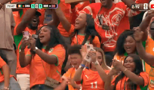 ezgif 44619673669bb20c.gif