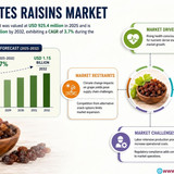 httpswww.24lifesciences.com 2026 07 01T183715.325