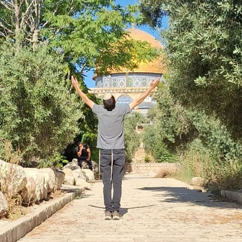 صورة الخبر