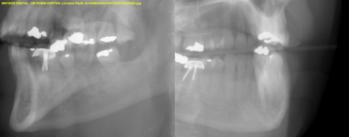 Lorraine Pazik G VXIMAGES P0025294 02529400.jpg