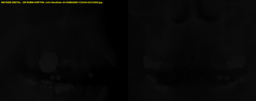 John Needham G VXIMAGES 1125454 02335900.jpg