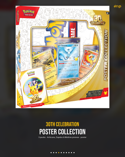 slide 04 poster.png