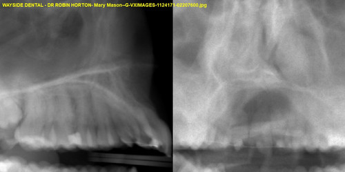Mary Mason G VXIMAGES 1124171 02207600.jpg