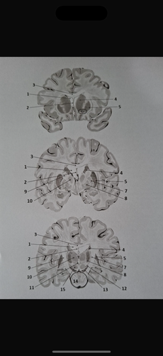 7e1b222bd498.png