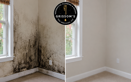 Black Mold Removal Toccoa GA.png