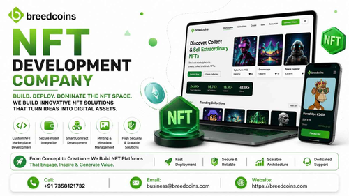 NFT development.png