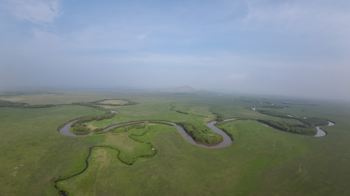 7d33a59f9137.jpg