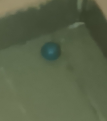 temp.png