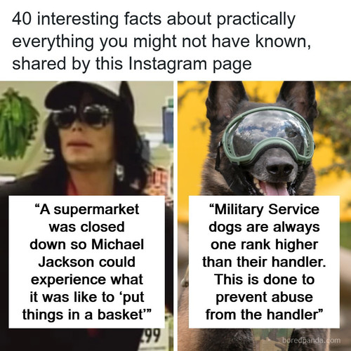 random facts share image.jpg