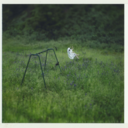 5c6a72d5253f.png