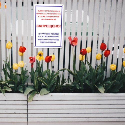 22 LP 0701 06.png