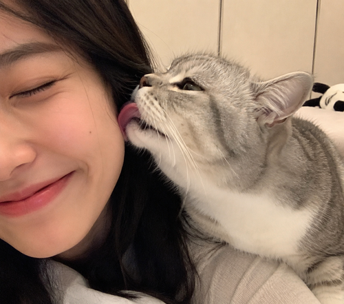 7c2567959b0e4dab985f566bbe778064 0.png