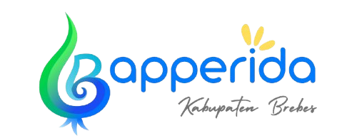 bapperida logo removebg preview.png